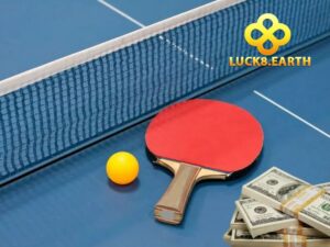 Tìm hiểu về cược bóng bàn