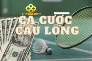 Những kèo cá cược cấu lông hấp dẫn