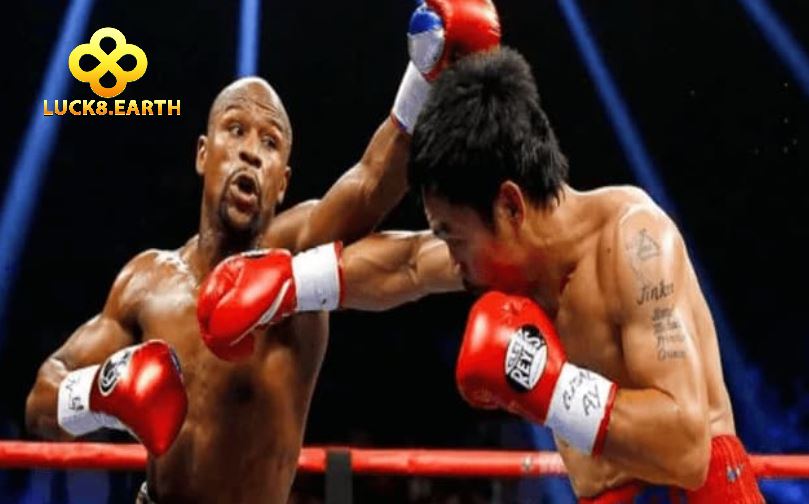 Cược Quyền Anh Sàn Đấu Sôi Động Kịch Tính Tại Luck8 3 Các hình thức đặt cược có trong cá Cược Quyền Anh
