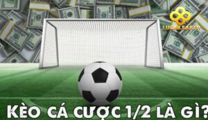 Khái niệm Kèo Chấp 1/2 là gì?