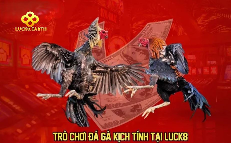Trang chu 1029 Trò chơi đá gà kịch tính